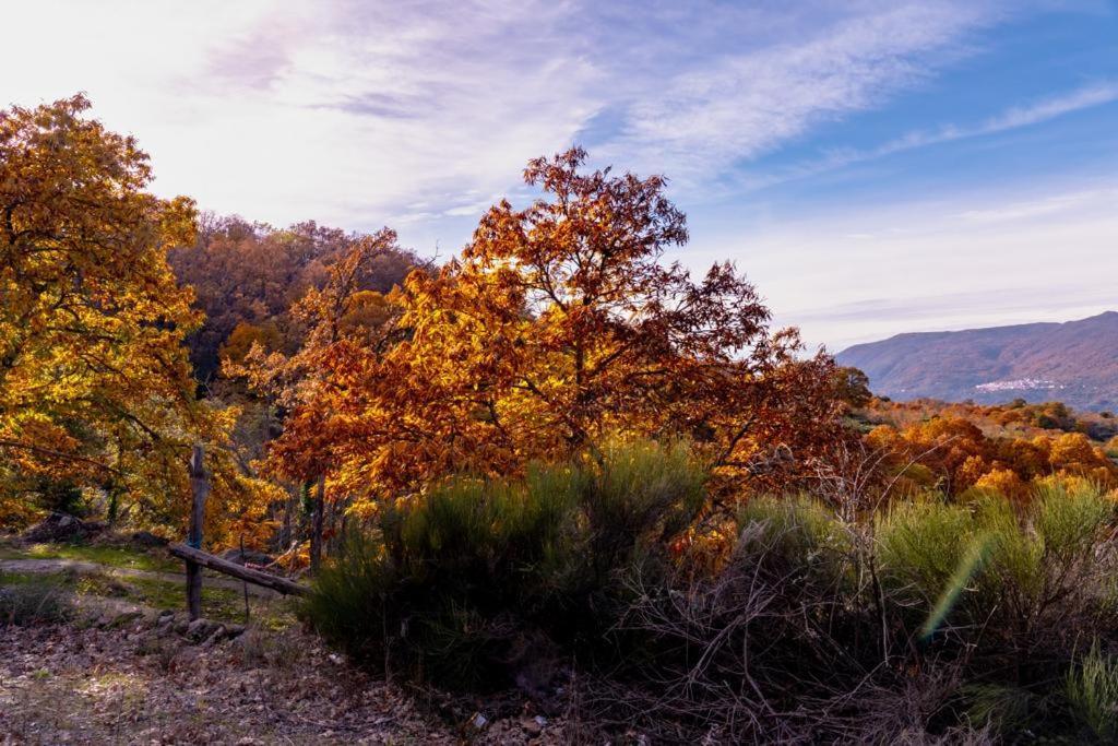 La Canada Del Valle Del Jerte Navaconcejo Bagian luar foto