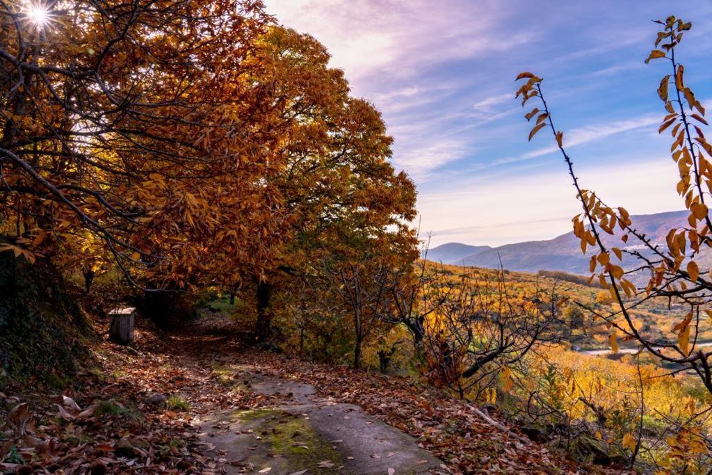 La Canada Del Valle Del Jerte Navaconcejo Bagian luar foto